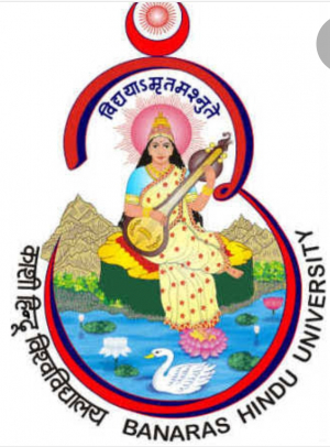 Dr Vaibhav 